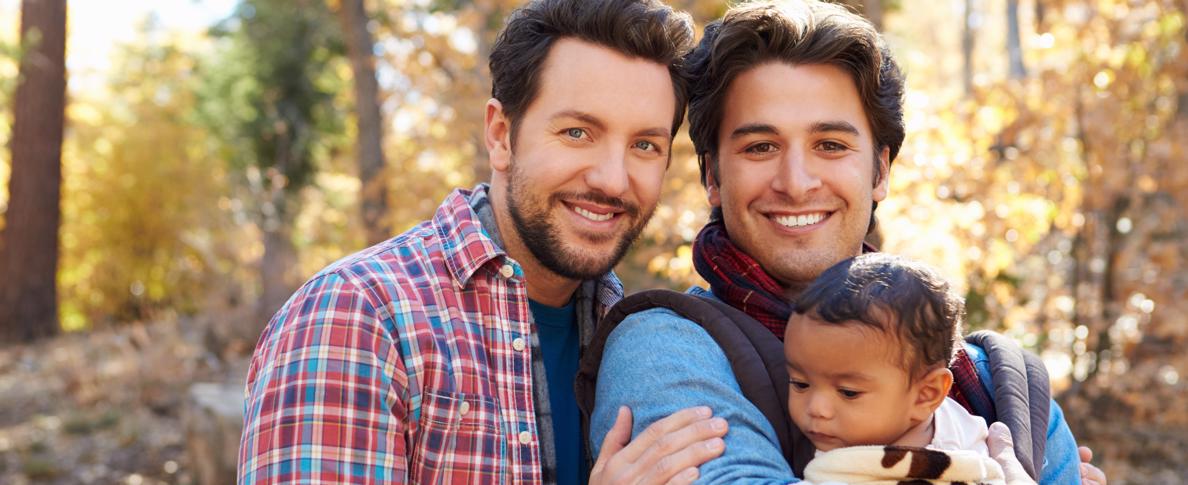 Gay adoption and foster care