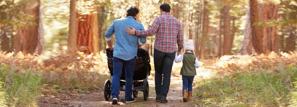the best type of adoption for a gay couple | lgbt lawyer houston